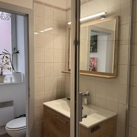 Apartman Le Nid D'alspach Colmar